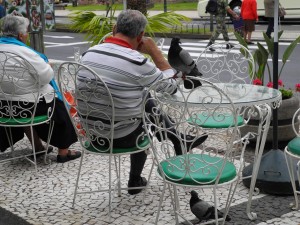 Funchal - terrasse de café