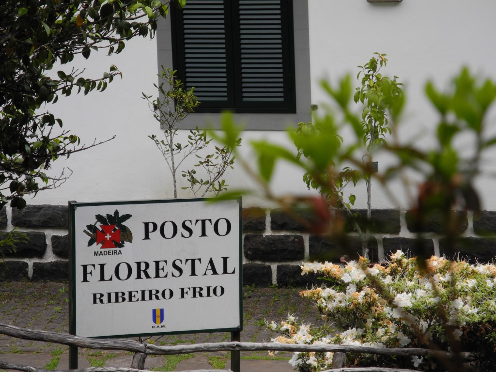 Ribeiro Frio - centre